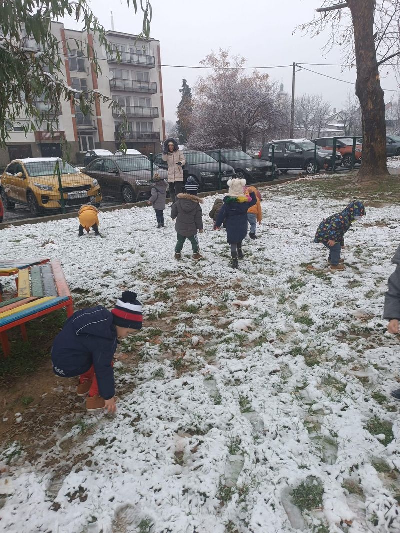 Leptirići dočekali prve pahulje na svoj dlan