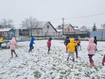 Tigrići uživaju u prvom snježnom danu