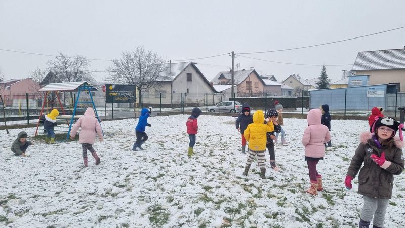Tigrići uživaju u prvom snježnom danu