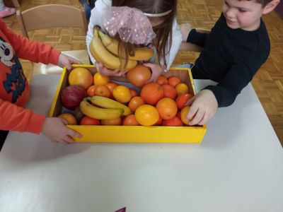 IMG_20240115_100612