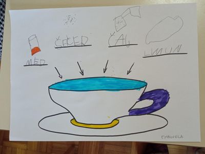 IMG_20240119_063918