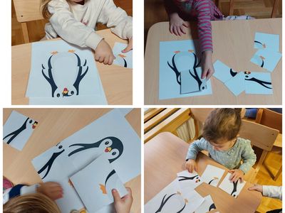 Pandice na Arktiku