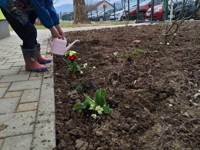 Prve proljetnice i Dan žena u Ivančicama