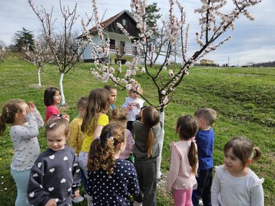 Pandice u proljetnoj šetnji učenje kroz prirodu