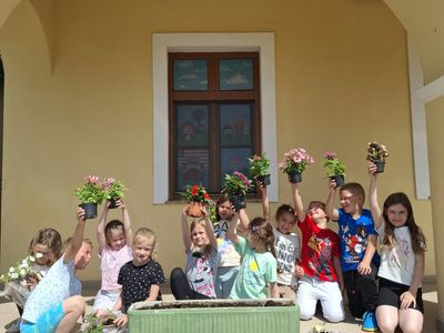 Pčelice u cvjetnoj akciji
