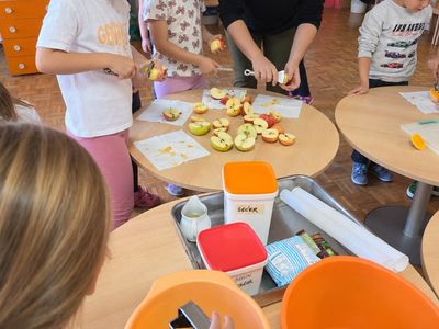 WhatsApp Image 2026-10-01 at 12.05.54