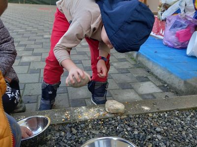 produzeni-program-ekologije-u-brodskom-stupniku-2022-8
