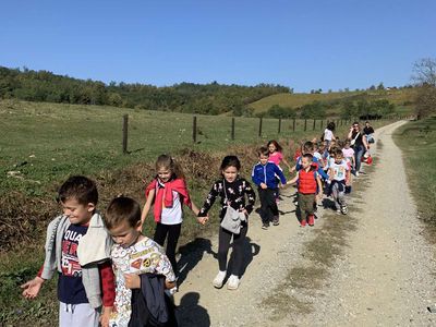 viber_slika_2023-10-17_13-01-10-434